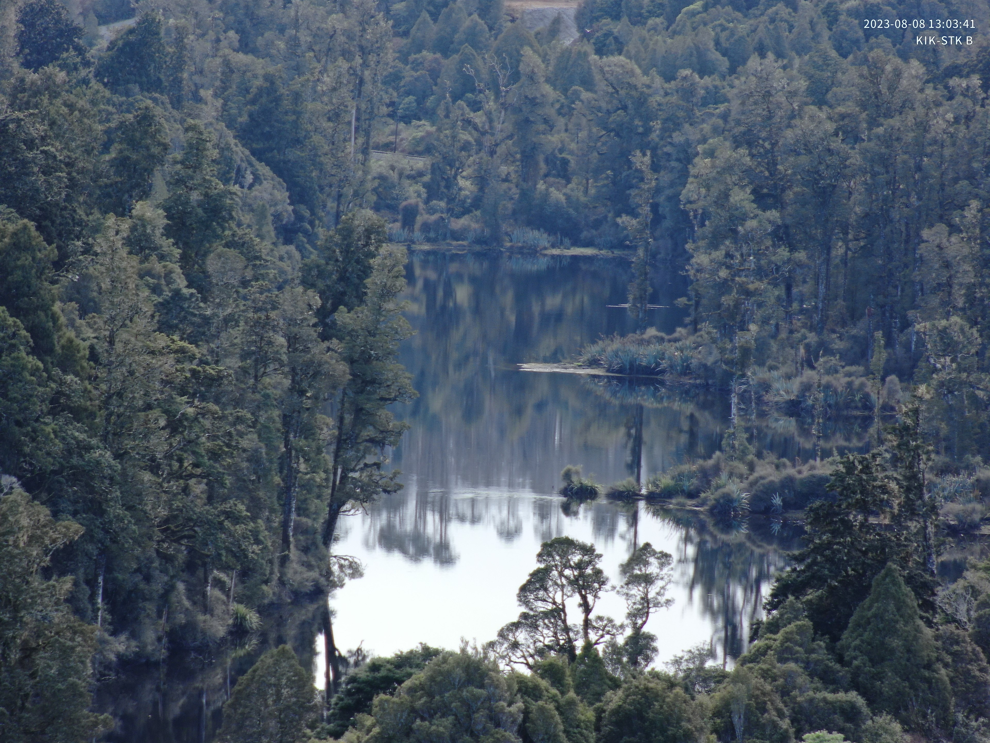 Coastal property view for as-is property guide
