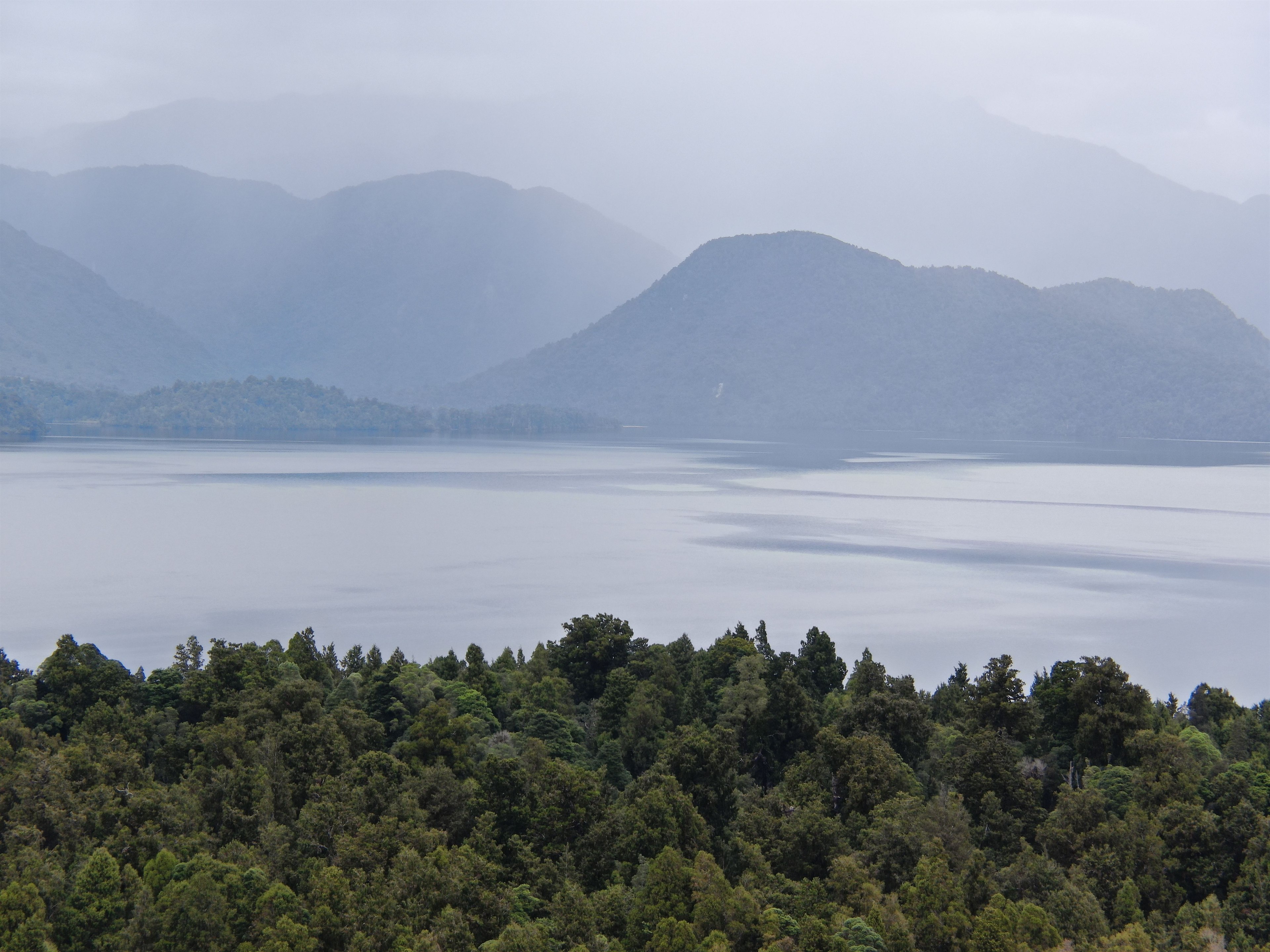 New Zealand property landscape for private sale guide